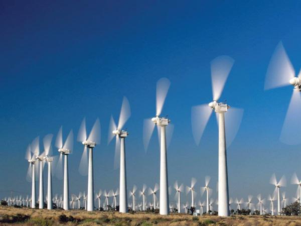 Cảnh báo LandVille Energy về dự án điện gió tại Bình Thuận