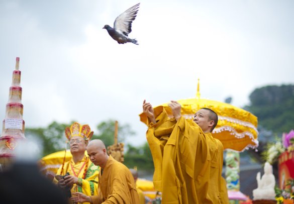 Xem nghi thức Tắm Phật sơ sinh ở Đại lễ Phật đản 2014, ảnh 10