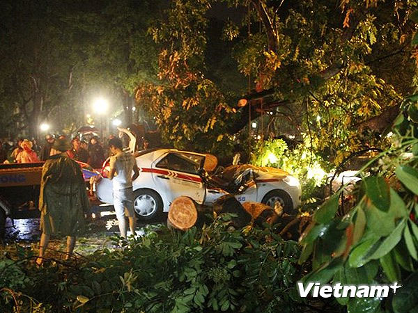 Hà Nội: tài xế taxi tử vong do bị cây đè trong cơn mưa giông lớn