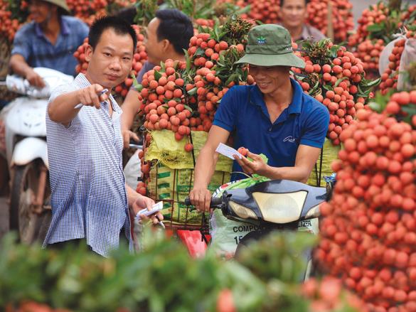 Lợi thế nào để Việt Nam giảm nhập siêu từ Trung Quốc - Bài 1