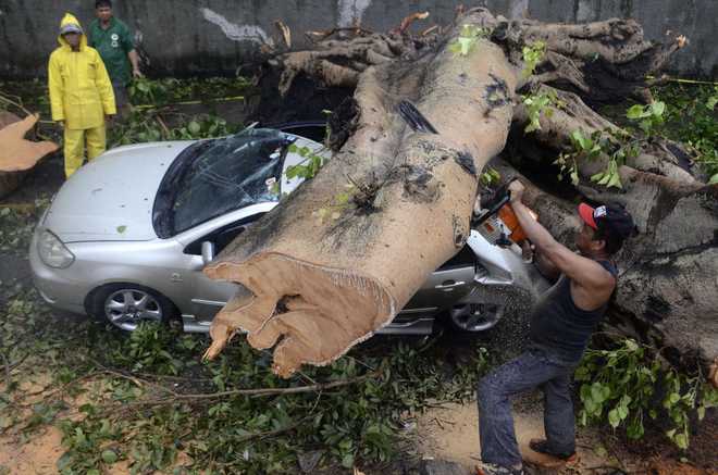 Hình ảnh bão thần sấm Rammasun tàn phá Philippines