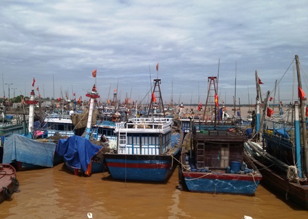 Quảng Ninh, Hải Phòng họp khẩn chống bão Rammasun