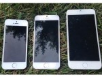 Apple đặt hàng iPhone 6 với số lượng kỷ lục