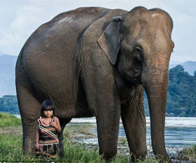 Nhiếp ảnh gia nước ngoài sững sờ trước một cô bé Việt 6 tuổi