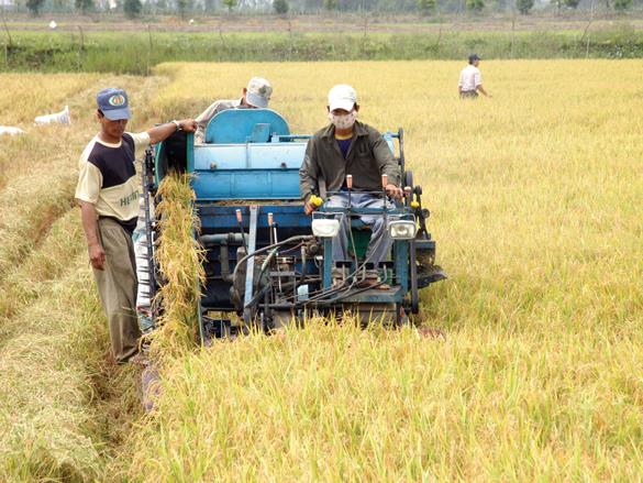 Kéo vốn tư nhân Hàn Quốc vào nông nghiệp Việt Nam