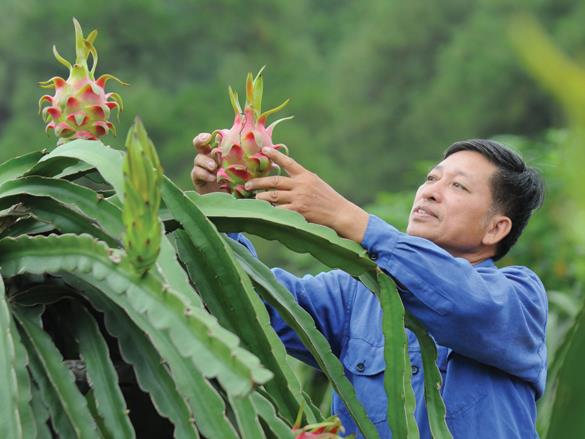 Xuất khẩu nắm cơ hội vàng 2015