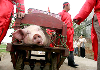 Lễ hội Chém lợn có từ bao giờ?