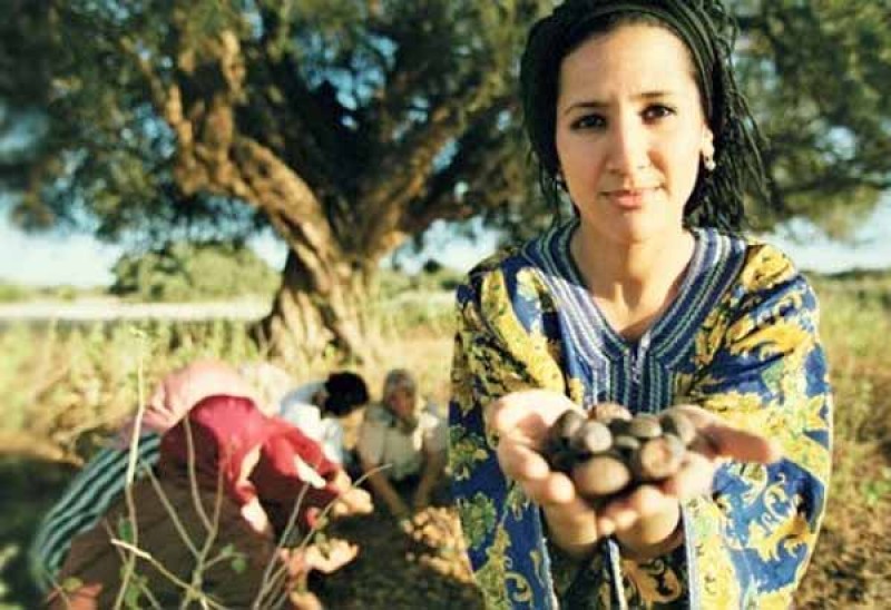 Phụ nữ Ma rốc thu hoạch quả Argan 