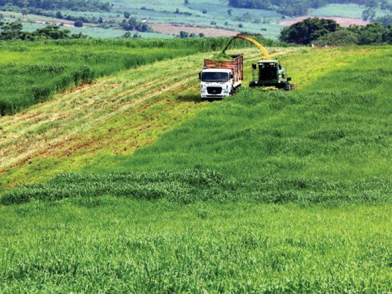 doanh nghiệp đầu tư vào nông nghiệp, nông thôn sẽ được hưởng nhiều chính sách khuyến khích