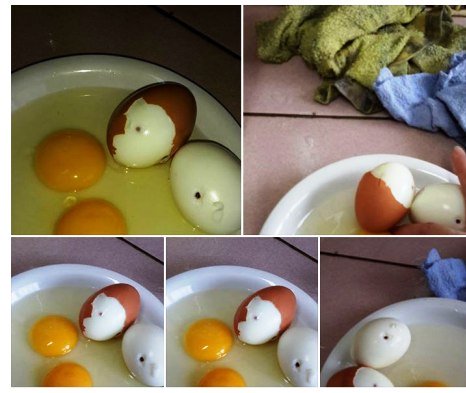 Bác tin trứng gà Trung Quốc bị tiêm máu nhiễm HIV