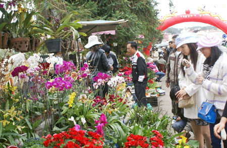 Lâm Đồng đầu tư 164 tỷ đồng xây chợ hoa đầu mối